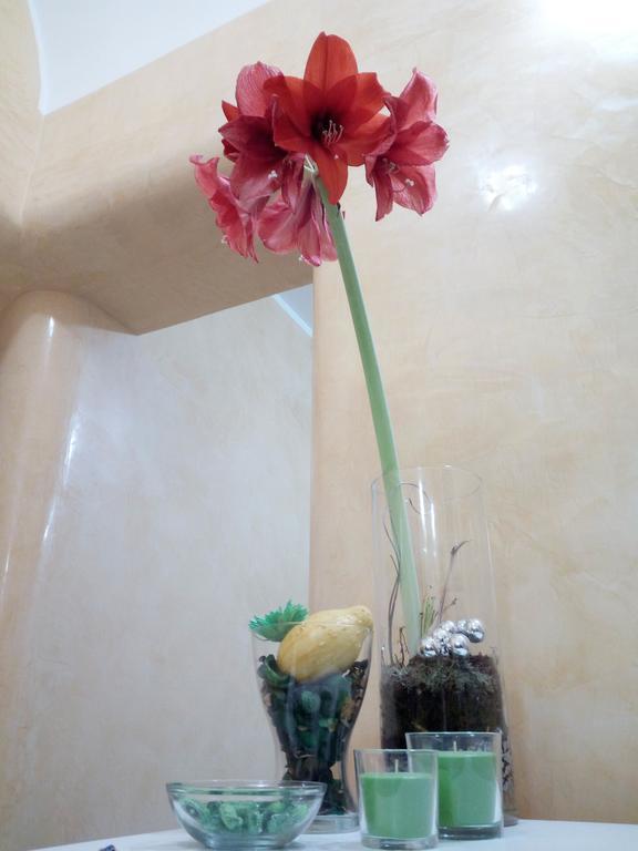 Residence Stendhal Guest House شيفيتافيكْيا المظهر الخارجي الصورة
